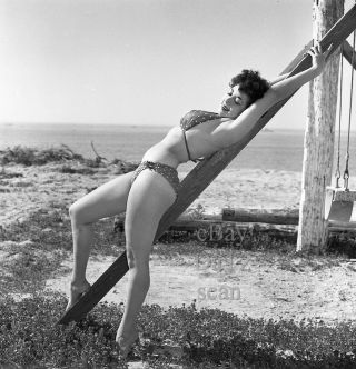 1950s Negative - Busty Pinup Girl Gigi Frost In Sexy Bikini At The Beach T273086