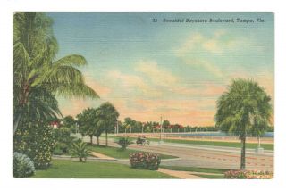 Bayshore Boulevard Tampa Florida Vintage Postcard Af96