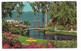 Vintage Florida Chrome Postcard Cypress Gardens Roses Bougainvillea Belles