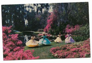 Vintage Florida Chrome Postcard Cypress Gardens Happy Times Belles Azaleas