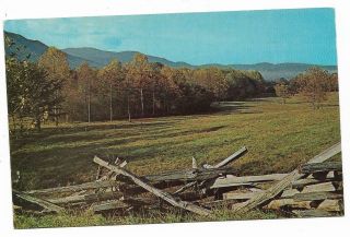 Vintage Tennessee Postcard Cades Cove Smoky Mountains Overlook Beginning Loop Dr