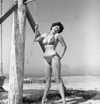 1950s Negative - Busty Pinup Girl Gigi Frost In Sexy Bikini At The Beach T273094