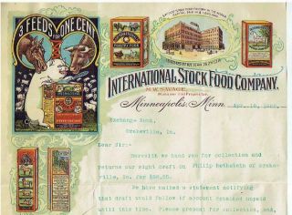 Illus Letterhead - International Stock Food Company - Minneapolis - Busy - 1902 Fine