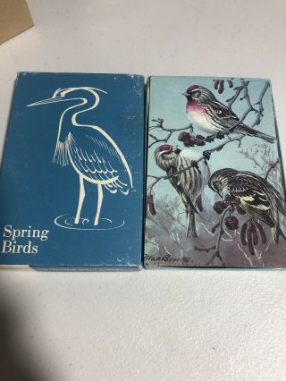 1970 National Audubon Society Audubon Aids 50 Springbirds Cards/box Allan Brooks