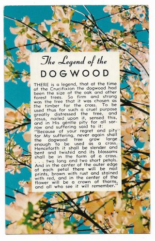 Vintage Chrome Postcard Unknown Location Legend Of The Dogwood Scripture On Back