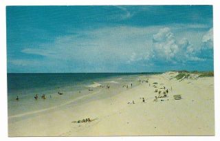 Vintage Florida Chrome Postcard Panama City Beach North - West Miracle Strip