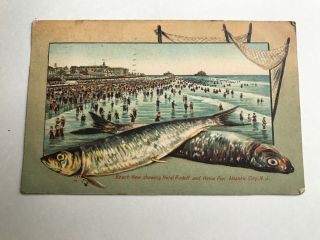 Beach View Hotel Rudolf Heinz Pier Atlantic City Nj Vintage Postcard