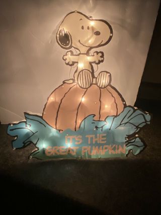 Peanuts Snoopy Charlie Brown Its The Great Pumpkin Lighted Halloween Decoration