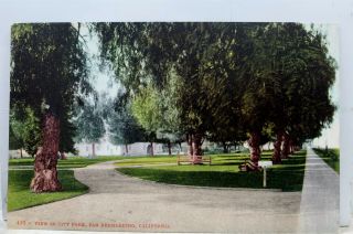 California Ca San Bernardino City Park Postcard Old Vintage Card View Standard