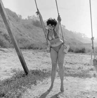 1950s Negative - Busty Pinup Girl Gigi Frost In Sexy Bikini At The Beach T273095