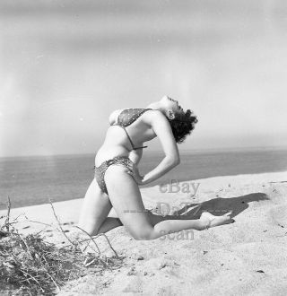 1950s Negative - Busty Pinup Girl Gigi Frost In Sexy Bikini At The Beach T273093