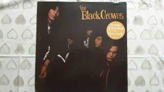 The Black Crowes " Shake Your Money Maker " Vinyl Lp Records