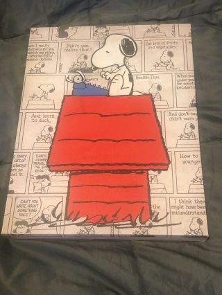 Peanuts Snoopy On Dog House Typing Wall Hanging Canvas Art Artessimo