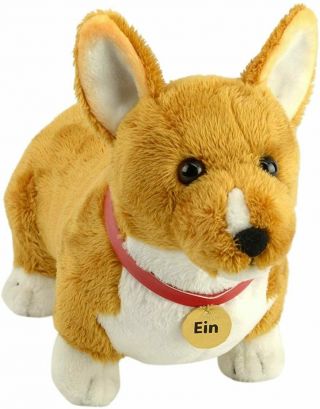 Cowboy Bebop Ein Dog Corgi Stuffed Animal Plush Toy 9.  5 Inch Official Licensed