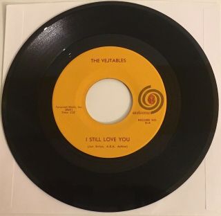 The Vejtables / I Still Love You / 1965 Sf Rock Prod By Sly Stone Autumn 45 Nm,
