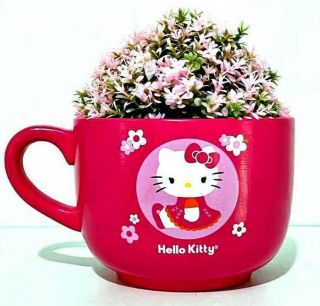 Hello Kitty Large Ceramic Coffee Soup Mug 2012 Sanrio Hot Pink W/ Flowers 24 Oz