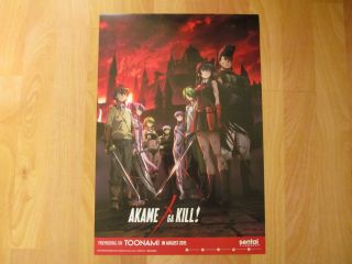 Japan Anime Akame Ga Kill Poster 13 X 19
