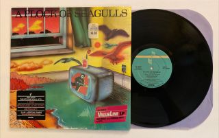 A Flock Of Seagulls - 1981 Us 1st Press (nm) Hype Sticker Ultrasonic Cleaned