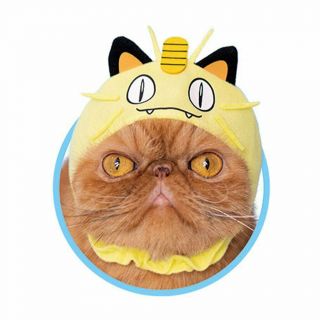 Meowth - Pokemon Cat Hat Kitan Club