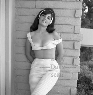 1960s Negative - Sexy Brunette Pinup Girl Hillary Von Dyle - Cheesecake T273771