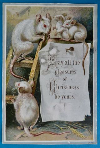 1880 Victorian White Mice Christmas Card