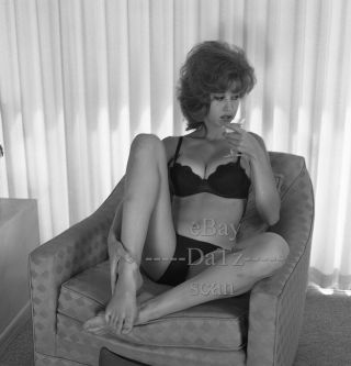 1960s Negative - Sexy Pinup Girl Amber Day Aka Gaby Kummer - Cheesecake T273304