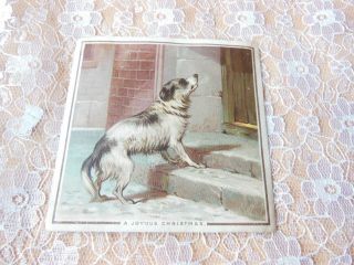Victorian Christmas Card/de La Rue/dog Standing On Door Step/no.  330
