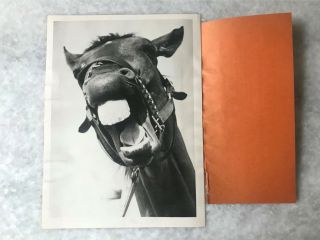 1940 Vintage Press Photo Race Horse Of The Year Challedon Challenger Seabiscuit