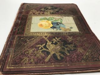 Antique Victorian Scrapbook Cover Die Cut Trade Card Embossed Birds Yellow Rose