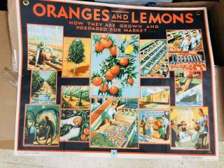 Vintage Oranges And Lemons Poster Nra Rand Mcnally 1933 National Recovery Act
