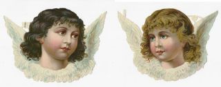 Z00 - Extra Large Angel Heads - Antique Diecut Scraps - Alte Oblaten