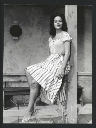 1959 Yvette Duguay Leggy Barefoot Vintage Photo French Western Actress