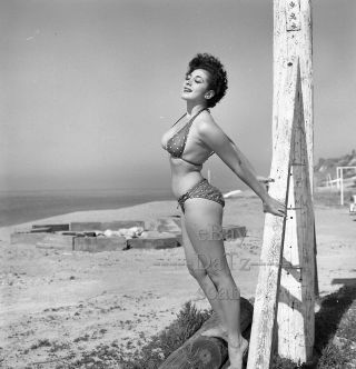 1950s Negative - Busty Pinup Girl Gigi Frost In Sexy Bikini At The Beach T273090