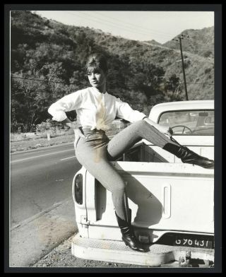 1964 Fran Jeffries Leggy Pose Vintage Photo Singer Dancer Actress Model