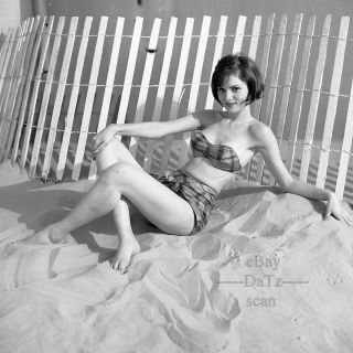 1960s Sherman Fairchild Negative - Sexy Pinup Girl Pat Jeffers In Swimsuit N319951