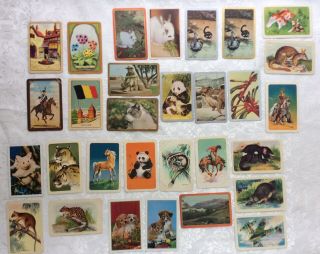 Swap Cards Coles Newsagency Woolworths Golden Fleece Sell Off 30 Cards