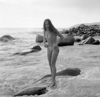 1960s Negative - Sexy Pin - Up Girl Lisa Golring In Bikini - Cheesecake T271612