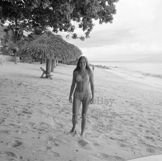1960s Negative - Sexy Pin - Up Girl Lisa Golring In Bikini - Cheesecake T271616