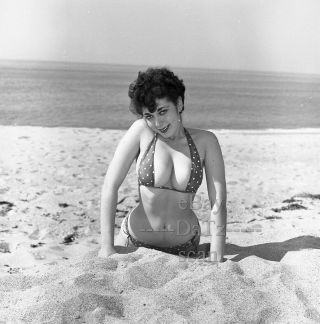 1950s Negative,  Busty Pin - Up Girl Gigi Frost At Beach In Sexy Bikini T270829