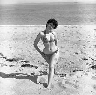1950s Negative,  Busty Pin - Up Girl Gigi Frost At The Beach In Bikini T270827