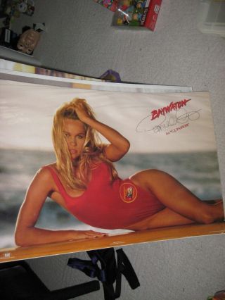Pamela Anderson Incredibly Sexy Busty Baywatch Pinup Poster
