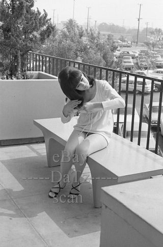 1960s Negative,  Sexy Brunette Pin - Up Girl Shari Wagner,  Cheesecake T269394