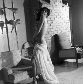 1960s Fred Enke Negative,  Gorgeous Nude Brunette Pin - Up Girl Jody Lynn,  T916425