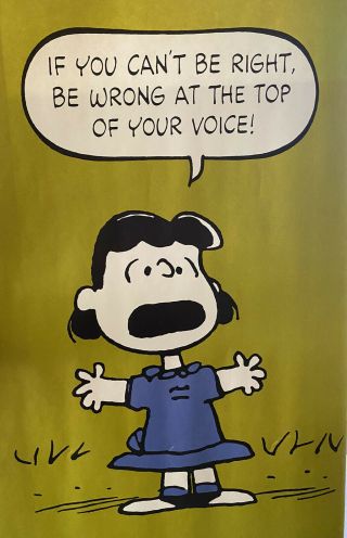 Vtg Peanuts Poster Opened Lucy Right And Wrong Green 28”x20” Springbok
