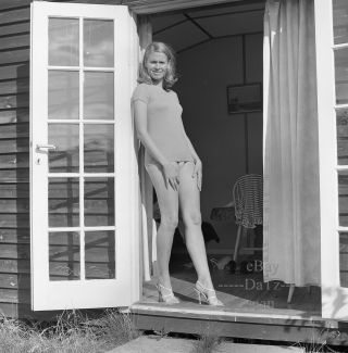 1960s Negative,  Sexy Blonde Pin - Up Girl,  Legs,  Girls Of Scandinavia N324581