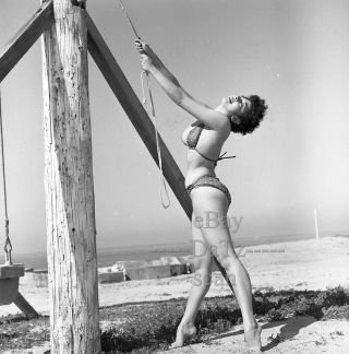 1950s Negative - Busty Pinup Girl Gigi Frost In Sexy Bikini At The Beach T273089