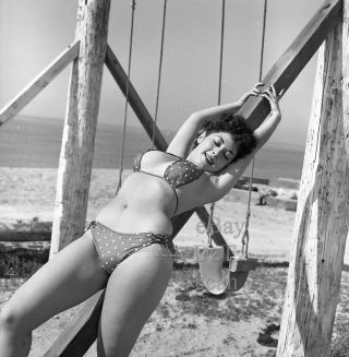 1950s Negative - Busty Pinup Girl Gigi Frost In Sexy Bikini At The Beach T273092