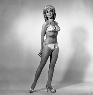 1960s Vogel Negative,  Sexy Pin - Up Girl Pat Marlowe In Polka - Dot Bikini,  T993574
