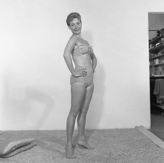 1950s Vogel Negative,  Gorgeous Pinup Girl Margie Darling In Sexy Bikini,  T234211