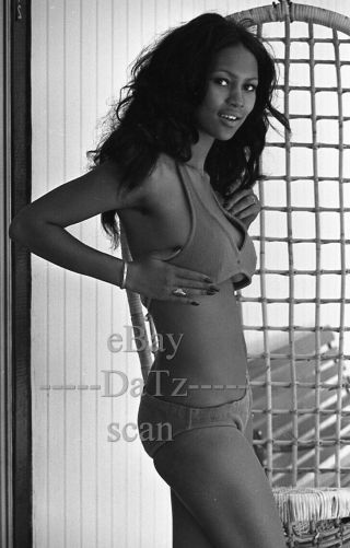 1960s Negative - Sexy Black Pinup Girl Sharon Hayden In Bikini,  Cheesecake T265472